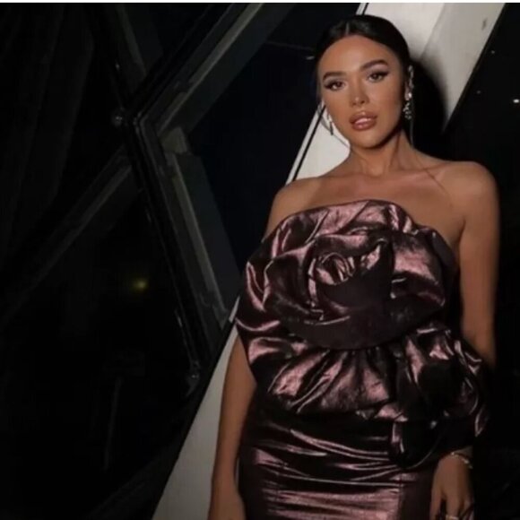 Zara fav blogger flowers voluminous dress Size M NEW WITH TAG! - Picture 3 of 15